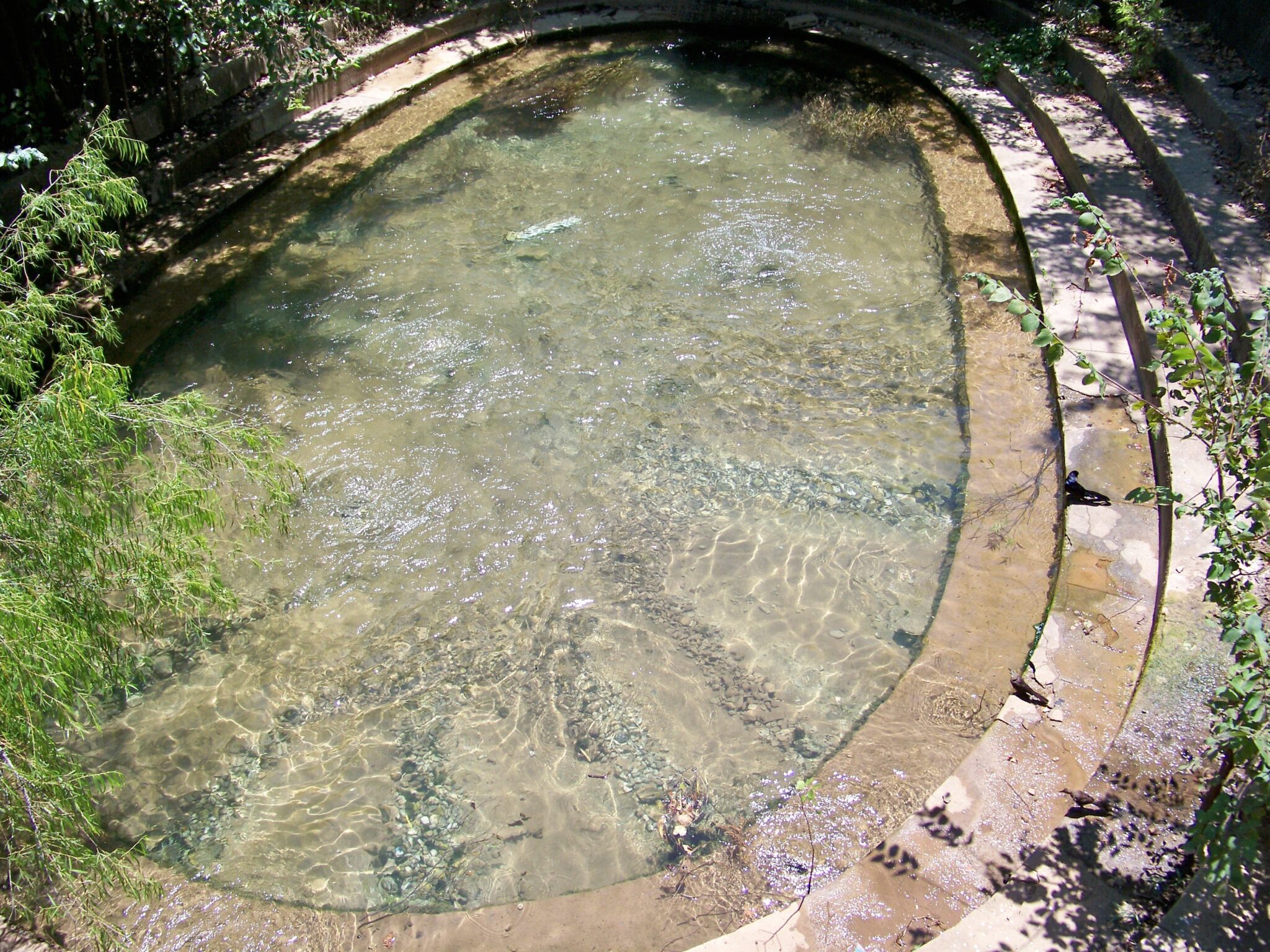 GALLERY Zilker Park Boat Rentals